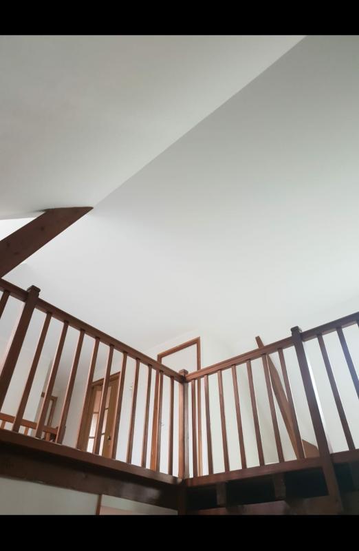 Rénovation murs et plafond